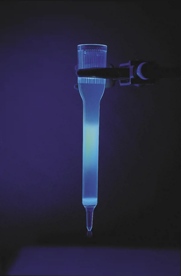 Utforskning av bioteknologien med GFP  (778303)