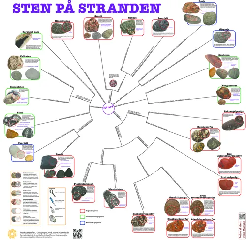 Bestemmelsesdug, sten på stranden  (781016)