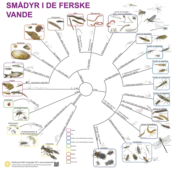 Bestemmelsesdug, ferskvandsdyr  (781028)