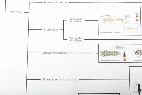 Makroindex, bestemmelsesdug ferskvand  (781039)