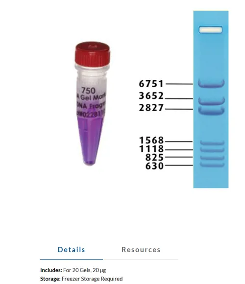 DNA stige, Edvotek, 20 µg  (790540)