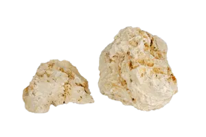 Calciumcarbonat, faksekalk med fossiler 5  (813650-6)