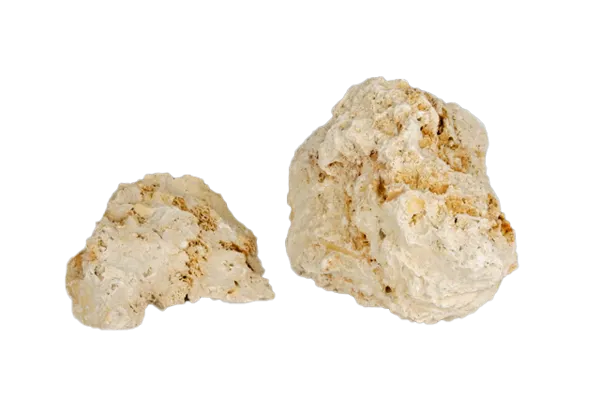 Kalsiumkarbonat, faksekalk med fossiler  (813650-6)