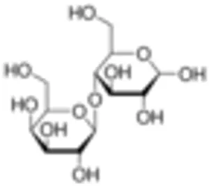 Lactose, mælkesukker  (858300-3)