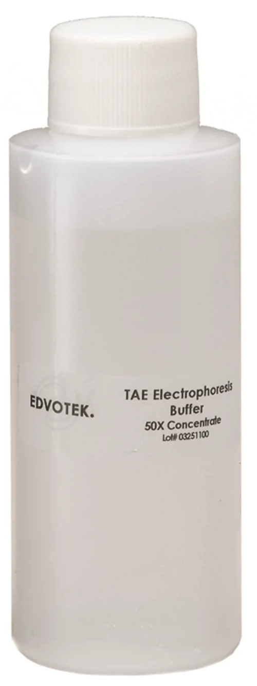 TAE buffer, 50x konc. Edvotek, 500 mL  (888770)