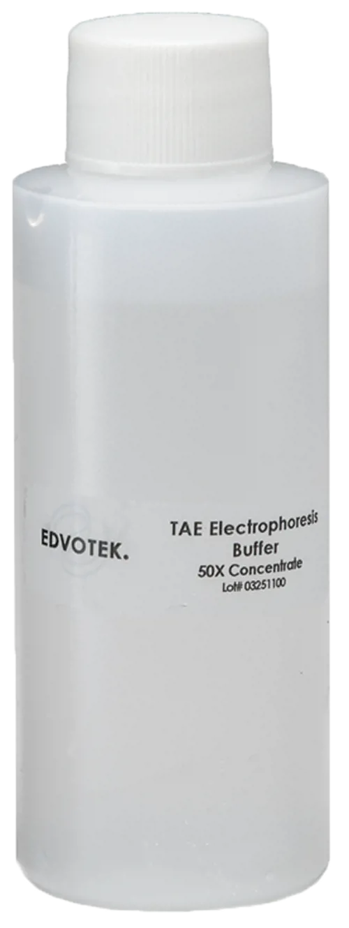 TAE buffer, 50x konc. Edvotek, 500 mL  (888770)