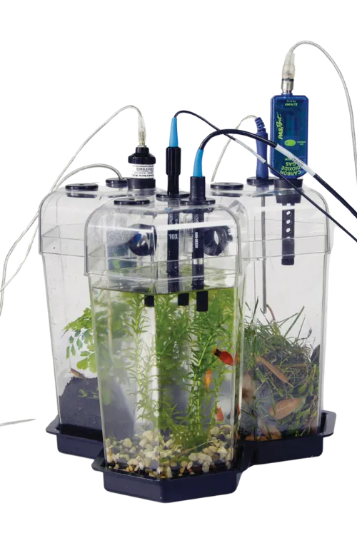 EcoZone System, 3 kamre EcoZone System, 3 kamre (ME-6668)