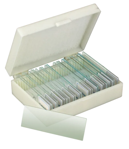 Præp. lever menneske, dds  (NL210347)